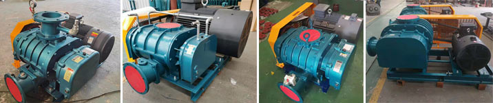 羅茨風(fēng)機廠家價格型號參數(shù)齊全 氣化風(fēng)機-灰?guī)鞖饣_茨風(fēng)機價格-灰斗氣化羅茨鼓風(fēng)機(圖4)