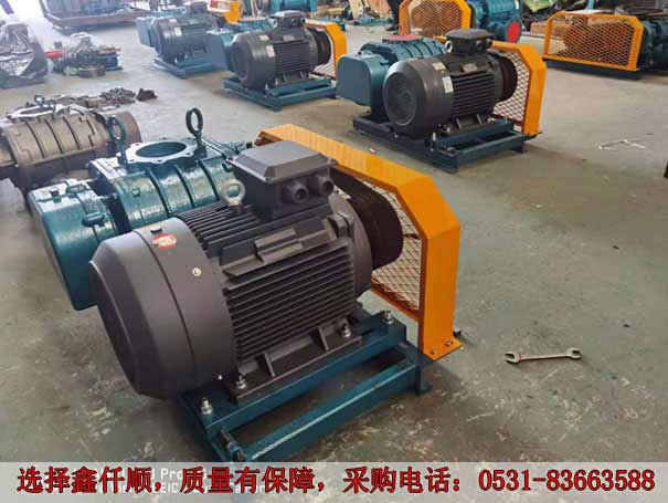 高壓羅茨鼓風機 發(fā)貨廣西高壓羅茨鼓風機XQSSR15030KW6臺(圖2)